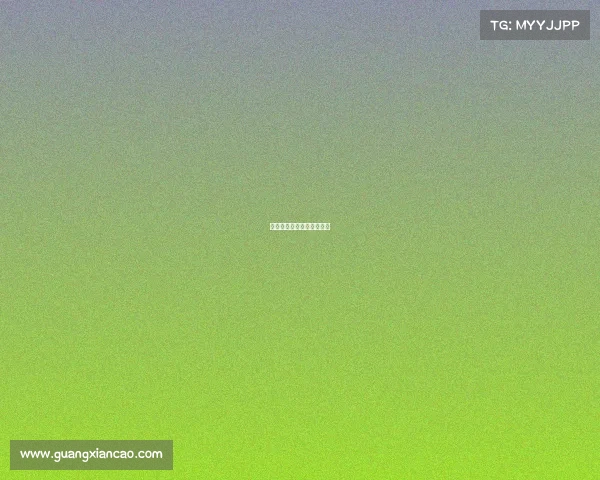 全国高校电子竞技联赛赛程