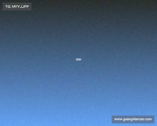 莱森集团 莱森集团